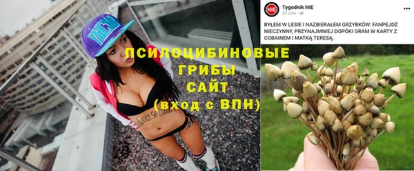 синтетический гашиш Гусев