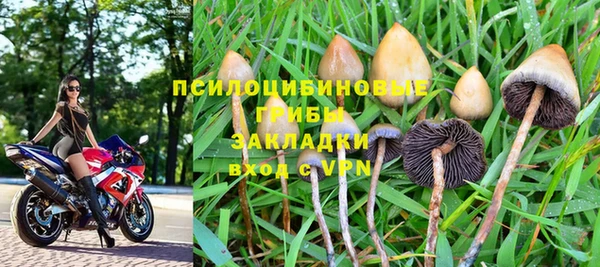 мескалин Гусиноозёрск
