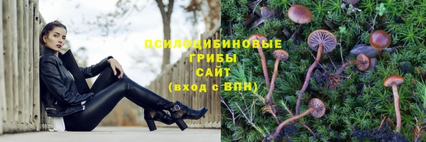 мескалин Гусиноозёрск